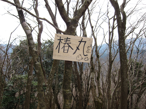 20190205hike (143)